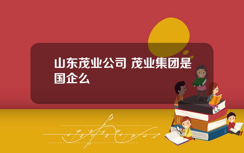 山东茂业公司 茂业集团是国企么